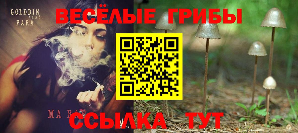 Псилоцибиновые грибы ЛСД Норильск